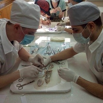 Фотоальбом «Участие в олимпиаде по хирургии в ДВГМУ»